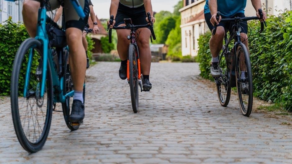 self guided cycling trips